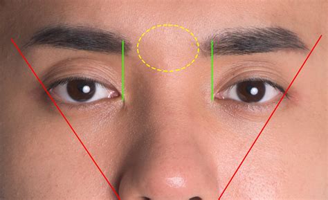 眉毛 男|【メンズ眉毛の整え方】初めてでも簡単！たった3ス。